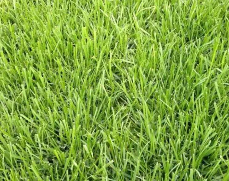 1661090089893630.jpg 3.jpg