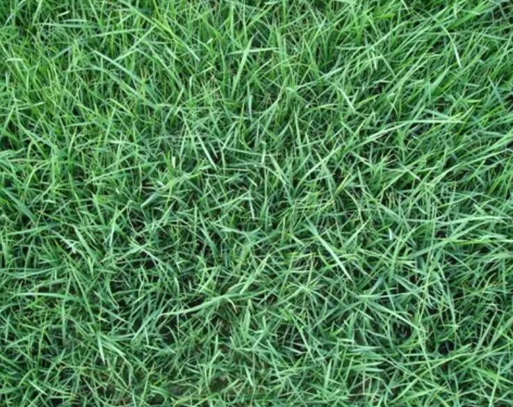 1661177217570248.jpg 2.jpg