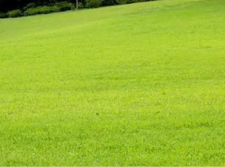 1661179266439970.jpg 3.jpg