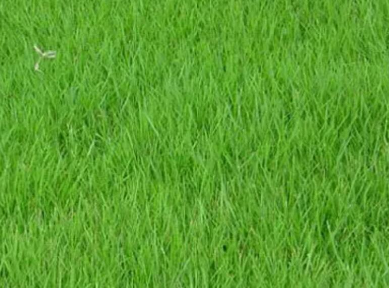 1661180158322399.jpg 1.jpg