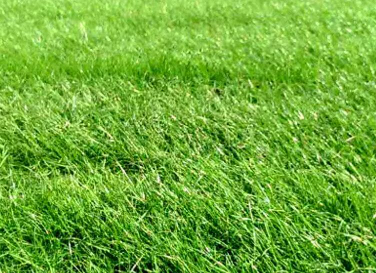 1661180173941955.jpg 3.jpg