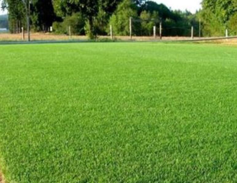 1661180198517924.jpg 2.jpg