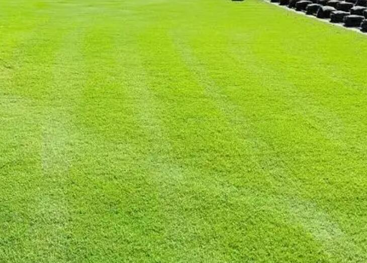 1661264345703168.jpg 1.jpg