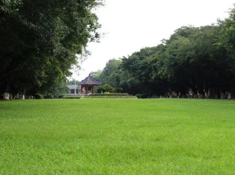 1661264365305351.jpg 3.jpg