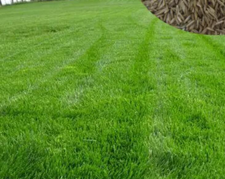 1661266320244333.jpg 3.jpg