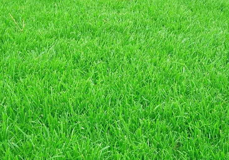 1661347882353901.jpg 3.jpg