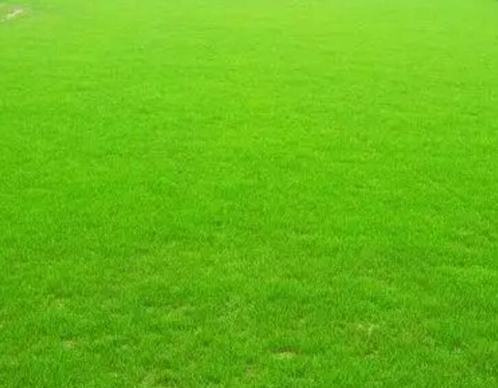 1661354339493714.jpg 阿布111.jpg