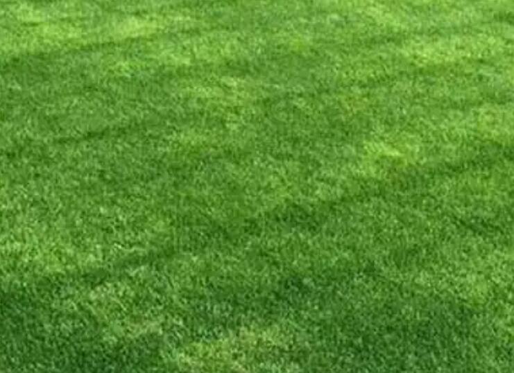 1661432664278149.jpg 1.jpg