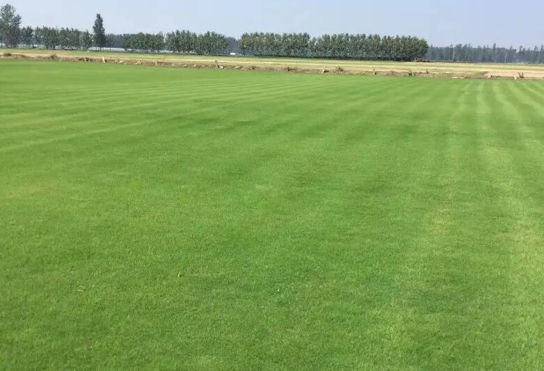 1661432679630608.jpg 3.jpg