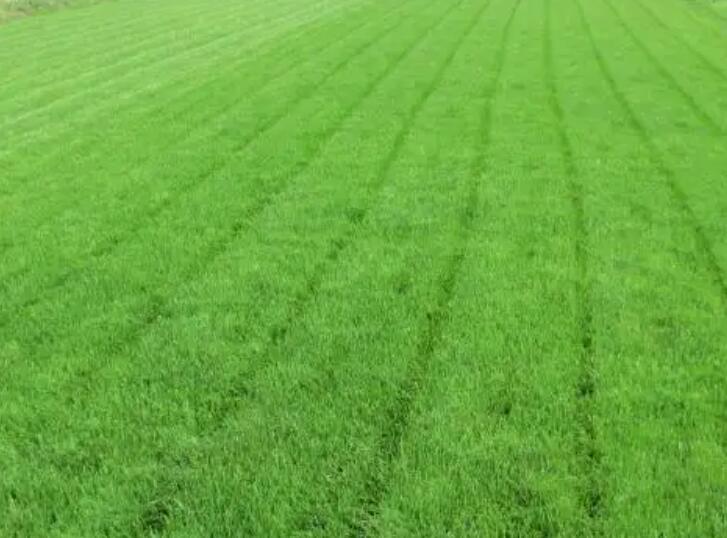 1661433883302057.jpg 8888.jpg