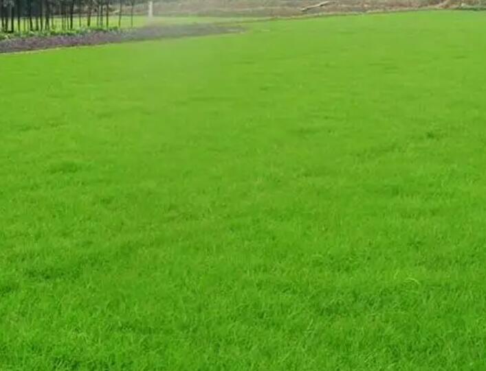 1661434568325742.jpg 11.jpg