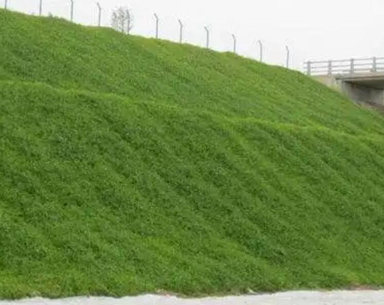 1661438265161752.jpg 1.jpg