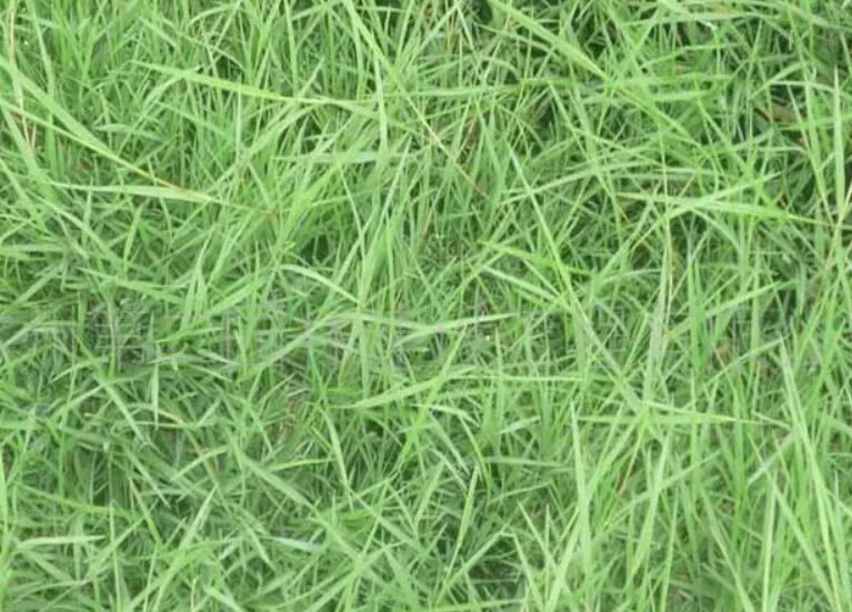 1661525462286808.jpg 3.jpg