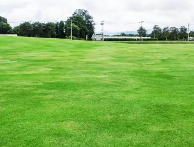 1661606339938350.jpg 果嶺操2.jpg