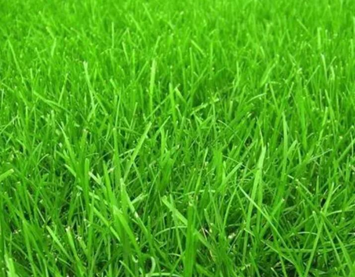 1661606443449463.jpg 22222222222222.jpg