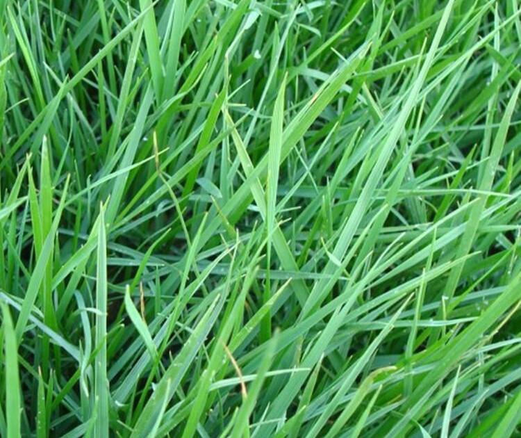 1661914128757654.jpg 1661914128757654.jpg