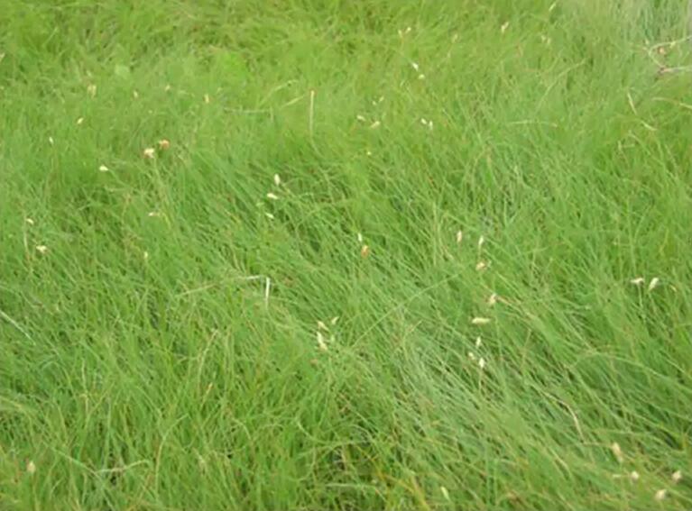 1670125910472783.jpg 1670125910472783.jpg