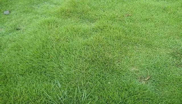 1671070162906621.jpeg 1671070162906621.jpeg