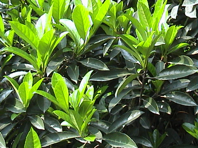 1677723726192444.jpg 1677723726192444.jpg