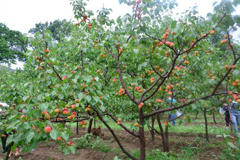 1678430405839529.jpg 1678430405839529.jpg