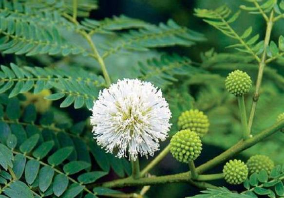 1678442145871604.jpg 1678442145871604.jpg