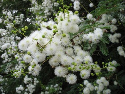 1678442159844194.jpg 1678442159844194.jpg