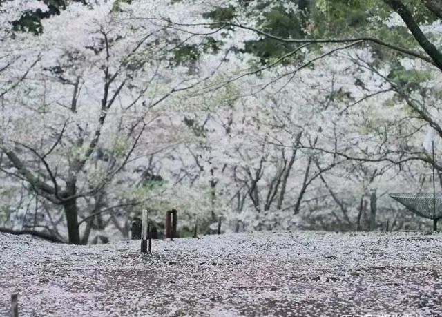 1678442490688136.jpg 1678442490688136.jpg